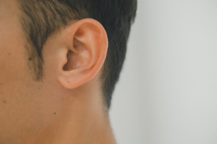 耳毛の「本数」や「長さ」に違いがある理由は？